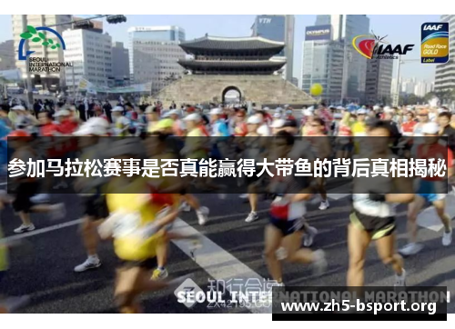 参加马拉松赛事是否真能赢得大带鱼的背后真相揭秘