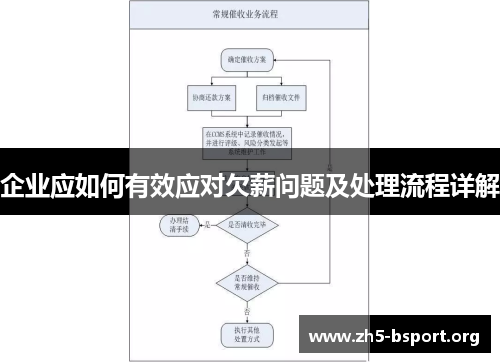 企业应如何有效应对欠薪问题及处理流程详解