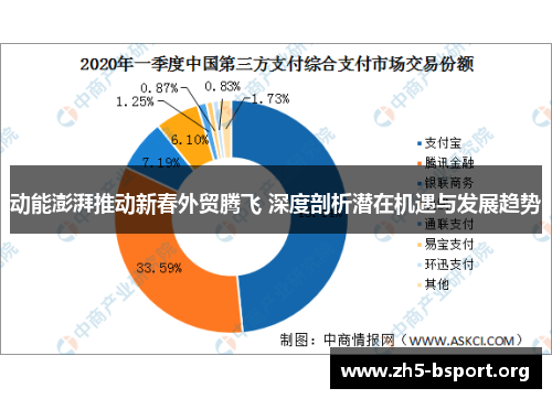 动能澎湃推动新春外贸腾飞 深度剖析潜在机遇与发展趋势